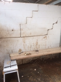 Builder: Image 6